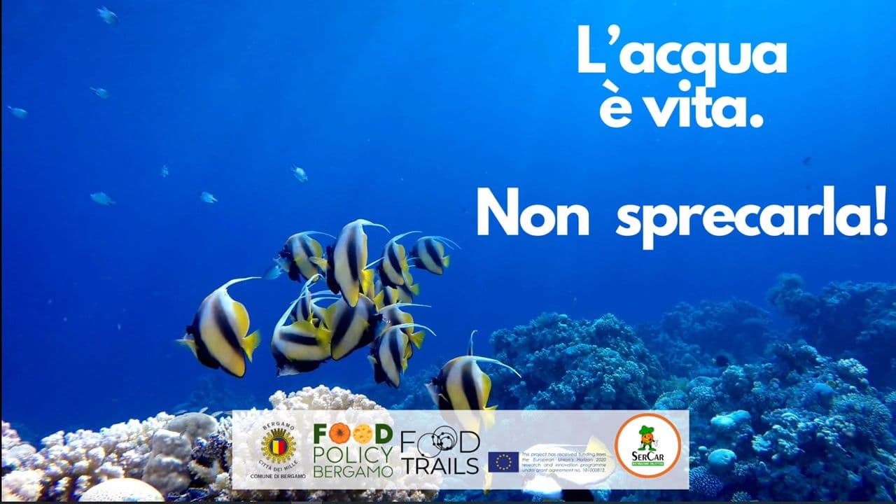 Giornata Mondiale dell'Acqua 2024 - Video