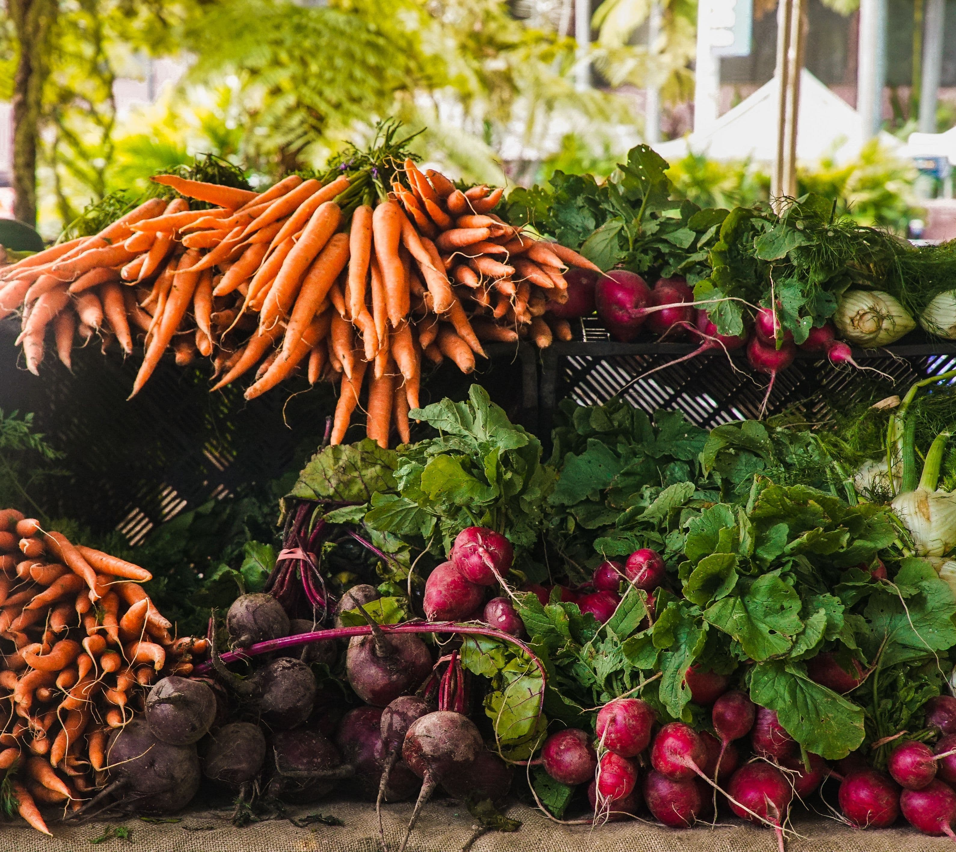 Le verdure Primaverili