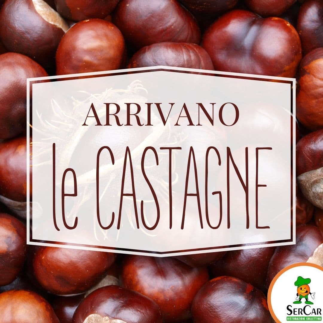 La castagna: tra sapori e tradizioni